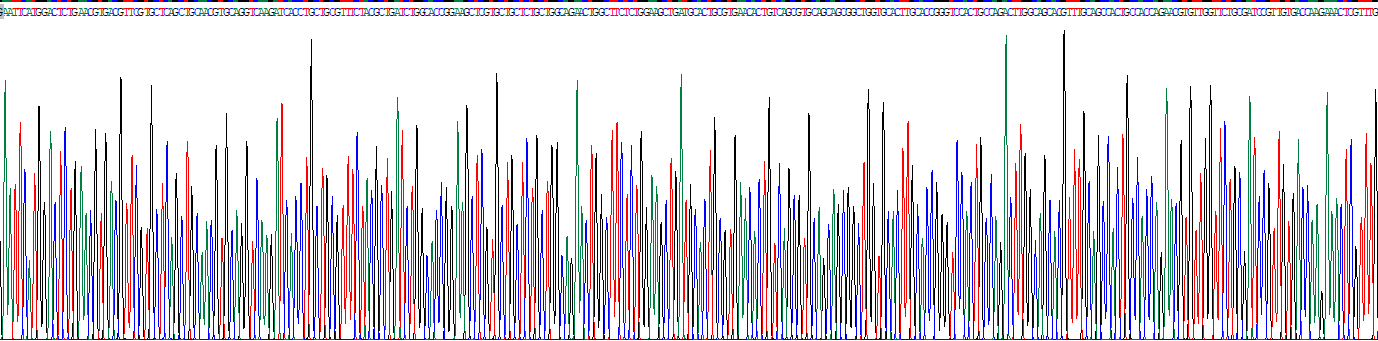 Recombinant UDP-N-Acteylglucosamine Pyrophosphorylase Like Protein 1 (UAP1L1)