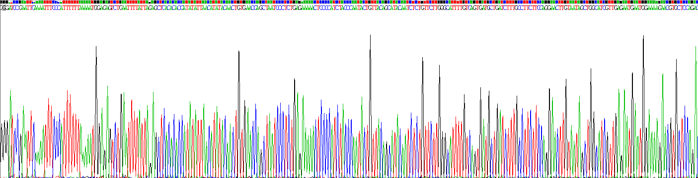 Recombinant Neuron Derived Neurotrophic Factor (NDNF)