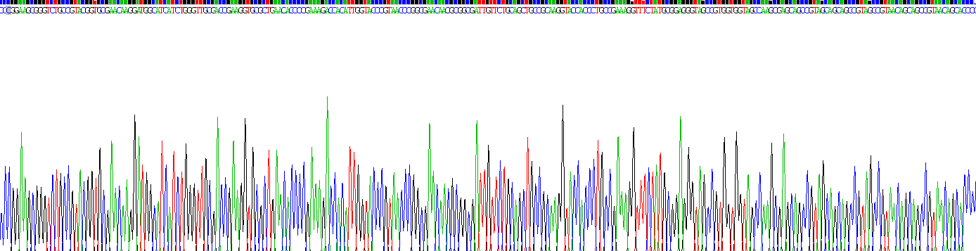 Recombinant Nucleoprotein (NP)