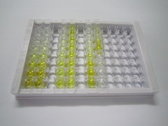 ELISA Kit for Interferon Gamma (IFNg)