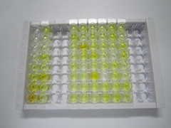 ELISA Kit for Insulin Like Growth Factor 2 (IGF2)