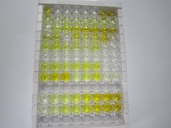 ELISA Kit for Insulin Like Growth Factor Binding Protein 3 (IGFBP3)