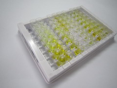 ELISA Kit for Interleukin 1 Alpha (IL1a)