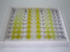 ELISA Kit for Interleukin 4 (IL4)