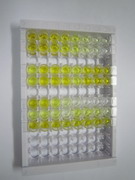 ELISA Kit for Interleukin 5 (IL5)