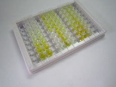 ELISA Kit for Interleukin 5 (IL5)