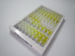 ELISA Kit for Interleukin 8 (IL8)