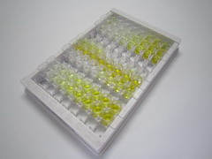 ELISA Kit for Neurotrophin 3 (NT3)