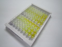 ELISA Kit for Ribonuclease T2 (RNASET2)