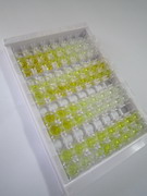 ELISA Kit for Tumor Necrosis Factor Alpha (TNFa)