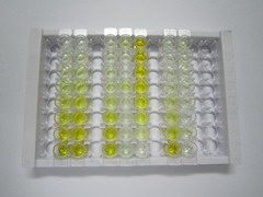 ELISA Kit for Tumor Necrosis Factor Alpha (TNFa)