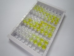 ELISA Kit for Pepsinogen C (PGC)