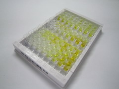 ELISA Kit for Neutrophil Elastase (NE)