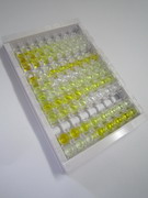 ELISA Kit for Apolipoprotein C1 (APOC1)