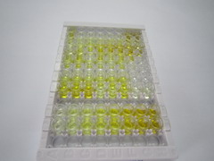 ELISA Kit for Apolipoprotein C1 (APOC1)