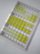 ELISA Kit for Heparin Cofactor II (HCII)