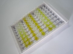 ELISA Kit for Glutamate Dehydrogenase 1 (GLUD1)