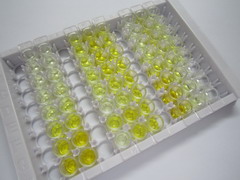 ELISA Kit for Glutathione Peroxidase 1 (GPX1)