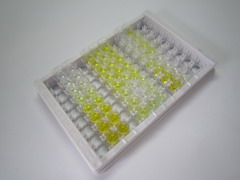 ELISA Kit for Ribonuclease A (RNase A)