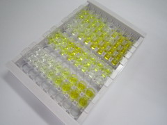 ELISA Kit for Galectin 12 (GAL12)