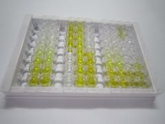 ELISA Kit for Tissue Factor Pathway Inhibitor (TFPI)