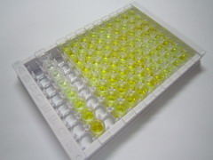 ELISA Kit for N-Terminal Pro-Brain Natriuretic Peptide (NT-ProBNP)