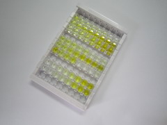 ELISA Kit for Immunoglobulin E (IgE)