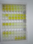 ELISA Kit for Vascular Cell Adhesion Molecule 1 (VCAM1)