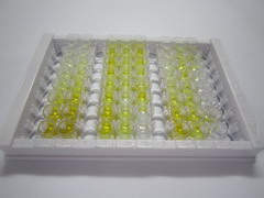 ELISA Kit for Pyruvate kinase isozymes M2 (PKM2)