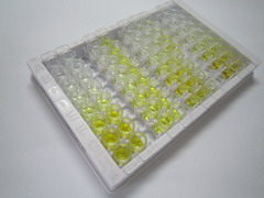 ELISA Kit for Cyclooxygenase-2 (COX 2)