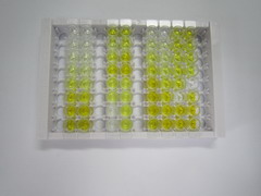 ELISA Kit for Apolipoprotein E (APOE)