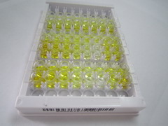 ELISA Kit for Inhibin B (INHB)