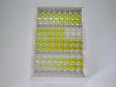 ELISA Kit for Lactoferrin (LTF)