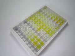 ELISA Kit for Kidney Injury Molecule 1 (Kim1)