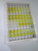 ELISA Kit for Haptoglobin (Hpt)