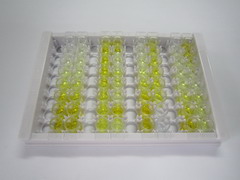 ELISA Kit for C Reactive Protein (CRP)