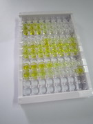 ELISA Kit for Von Willebrand Factor (vWF)