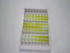 ELISA Kit for Ghrelin (GHRL)