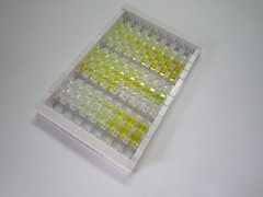 ELISA Kit for Growth Hormone Receptor (GHR)