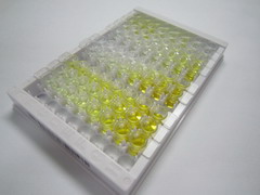 ELISA Kit for Asialoglycoprotein Receptor 1 (ASGR1)