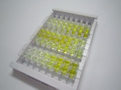 ELISA Kit for Gastrin (GT)