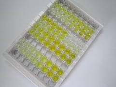 ELISA Kit for Plasminogen (Plg)