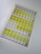 ELISA Kit for Hemoglobin (HB)