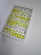 ELISA Kit for Tumor Necrosis Factor Receptor Superfamily, Member 9 (TNFRSF9)