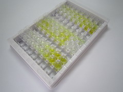 ELISA Kit for Tryptophanyl tRNA Synthetase (WARS)