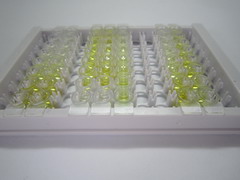 ELISA Kit for Tryptophanyl tRNA Synthetase (WARS)