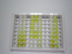 ELISA Kit for Tumor Necrosis Factor Ligand Superfamily, Member 13 (TNFSF13)