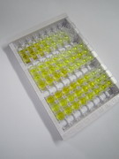 ELISA Kit for Sialic Acid Binding Ig Like Lectin 7 (SIGLEC7)