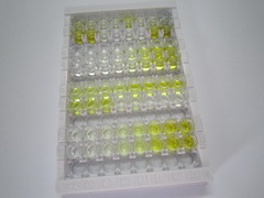 ELISA Kit for Interleukin 32 (IL32)