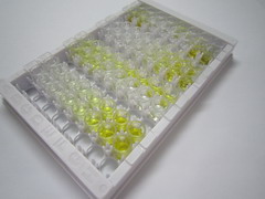 ELISA Kit for Selenoprotein P1, Plasma (SEPP1)